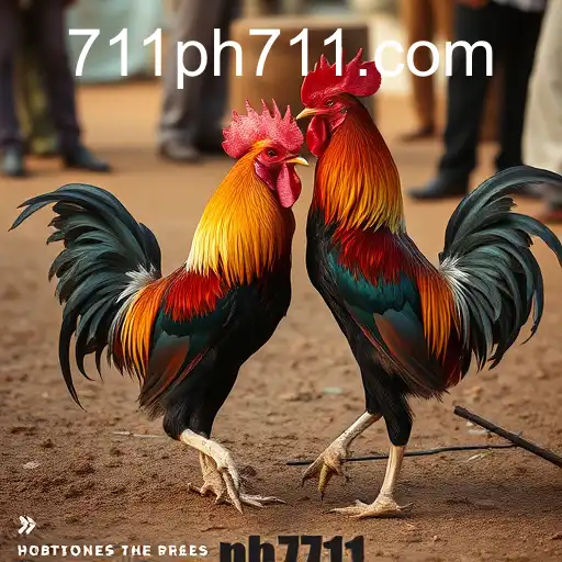 The Complex Culture and Controversies of Cockfighting: An Insight into ph711